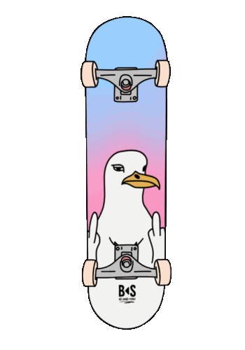 BS double flick deck animation