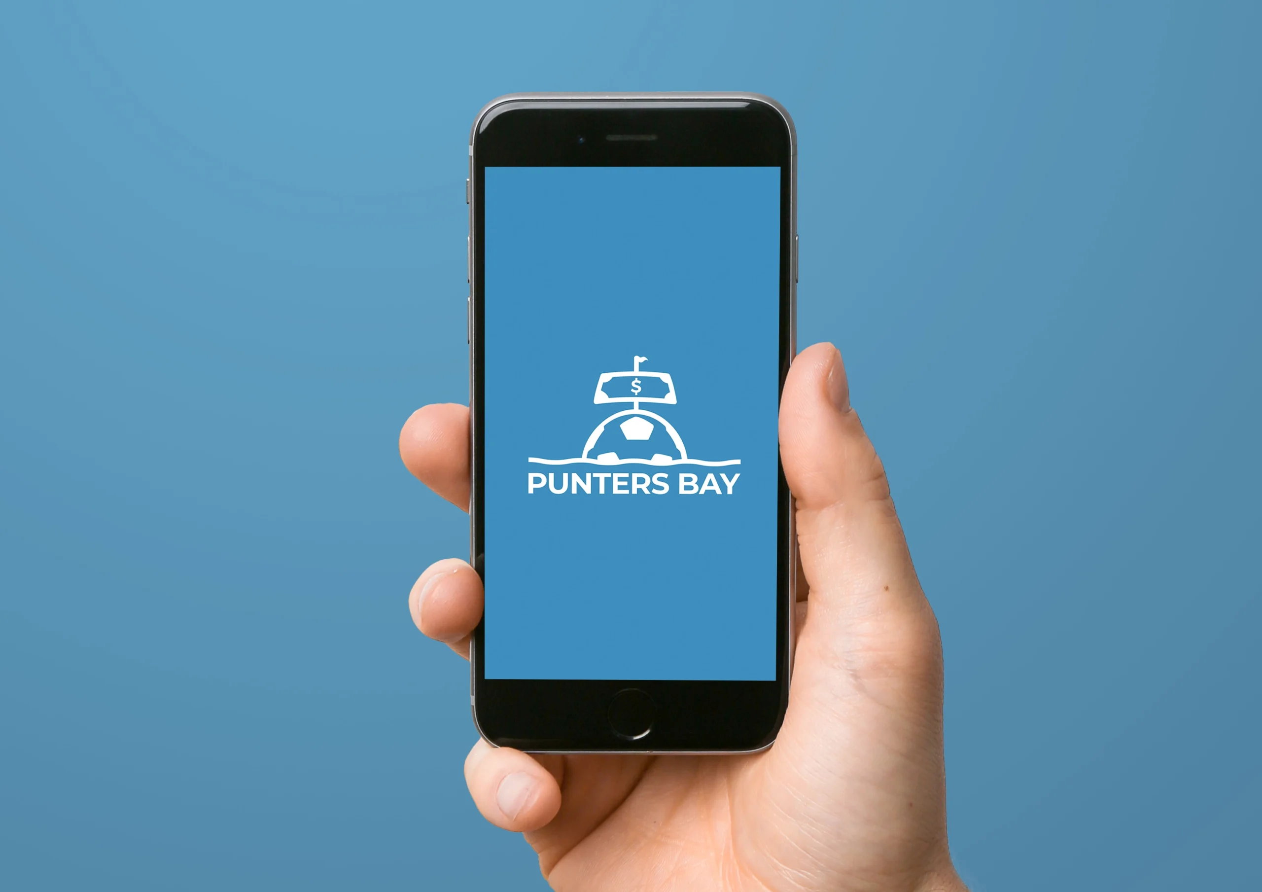 Punters Bay cover faideas