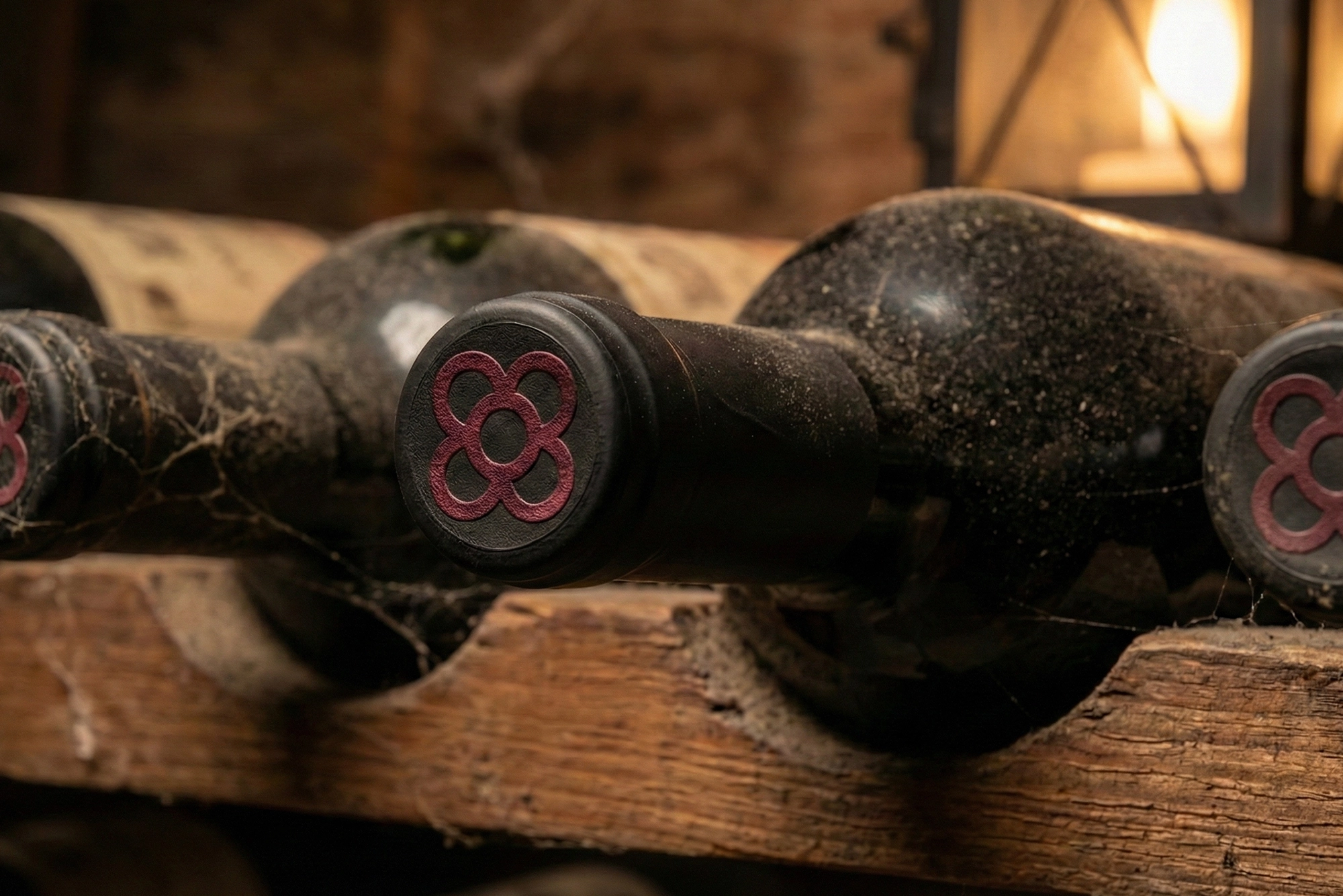 Flor-de-BCN-foto-caps