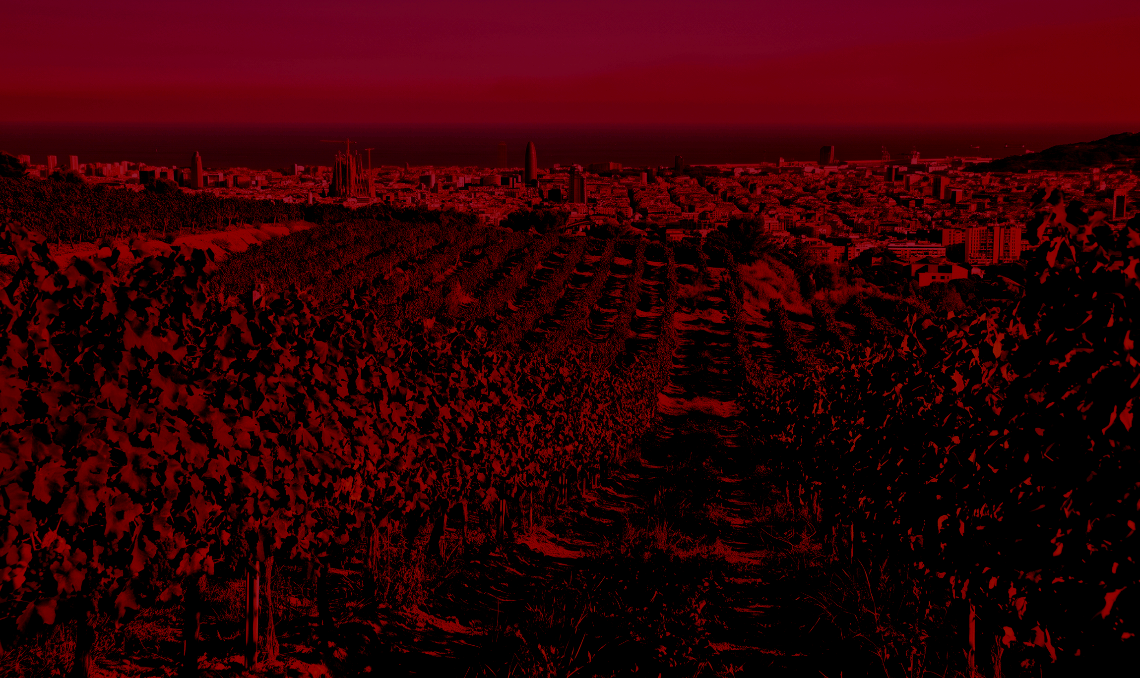 Flor-de-barcelona-gif2 faideas
